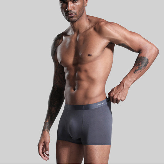 Male Modal Ice Silk No Trace Four Corners Large Size Antibacterial
